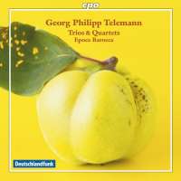 Telemann: Trios & Quartets